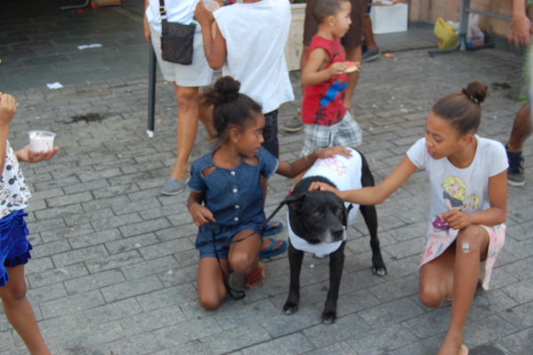 Festa Junina Paróquia 2018 (22)