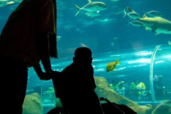 Visita AquaRio 2