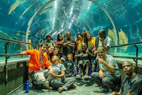 Visita AquaRio 3