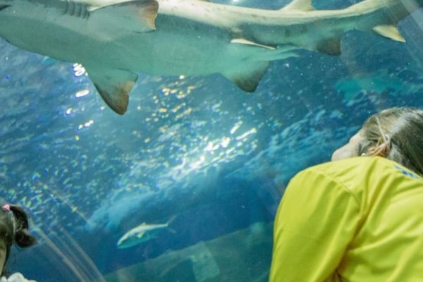 Visita AquaRio